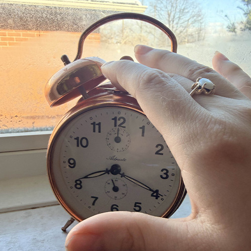 The main interaction being: Turning off the alarm!